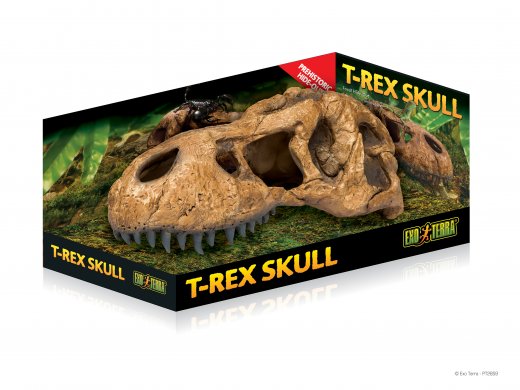 Череп тиранозавра ExoTerra T-Rex Skull (макет)