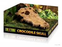 Череп крокодила ExoTerra Crocodile Skull (макет)