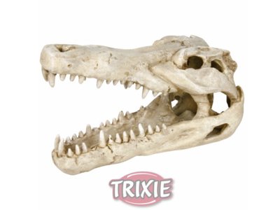Череп крокодила, 14 см (макет), Trixie