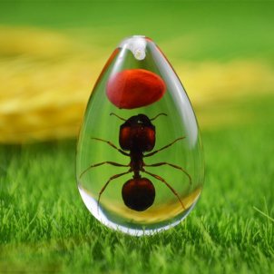 Новый подраздел "Сувениры с муравьями"