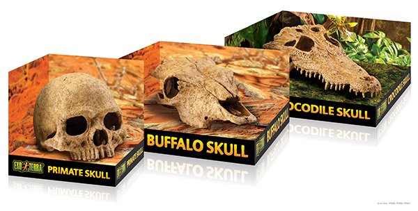 Череп быка ExoTerra Buffalo Skull (макет)